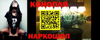 прущие крисы Нарткала