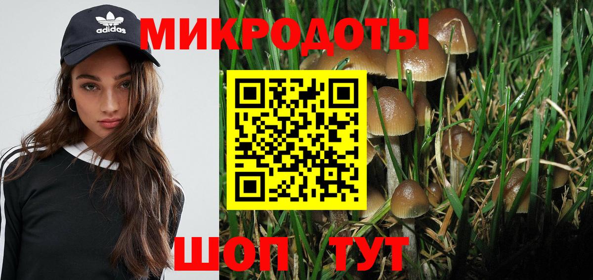 Псилоцибиновые грибы мицелий Шатура